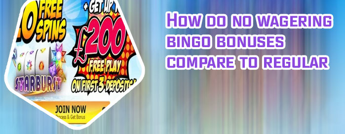 Best bingo and slots bonus