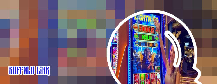 Buffalo link slot machine