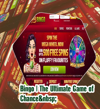 New bingo and slot sites