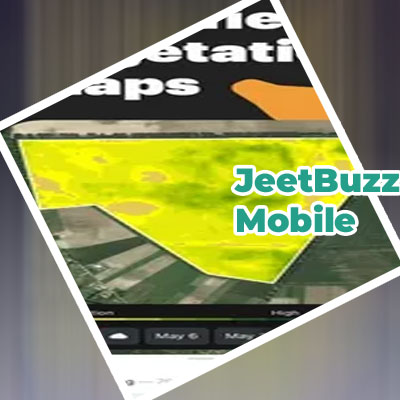 Jeetbuzz app download 2024 latest version